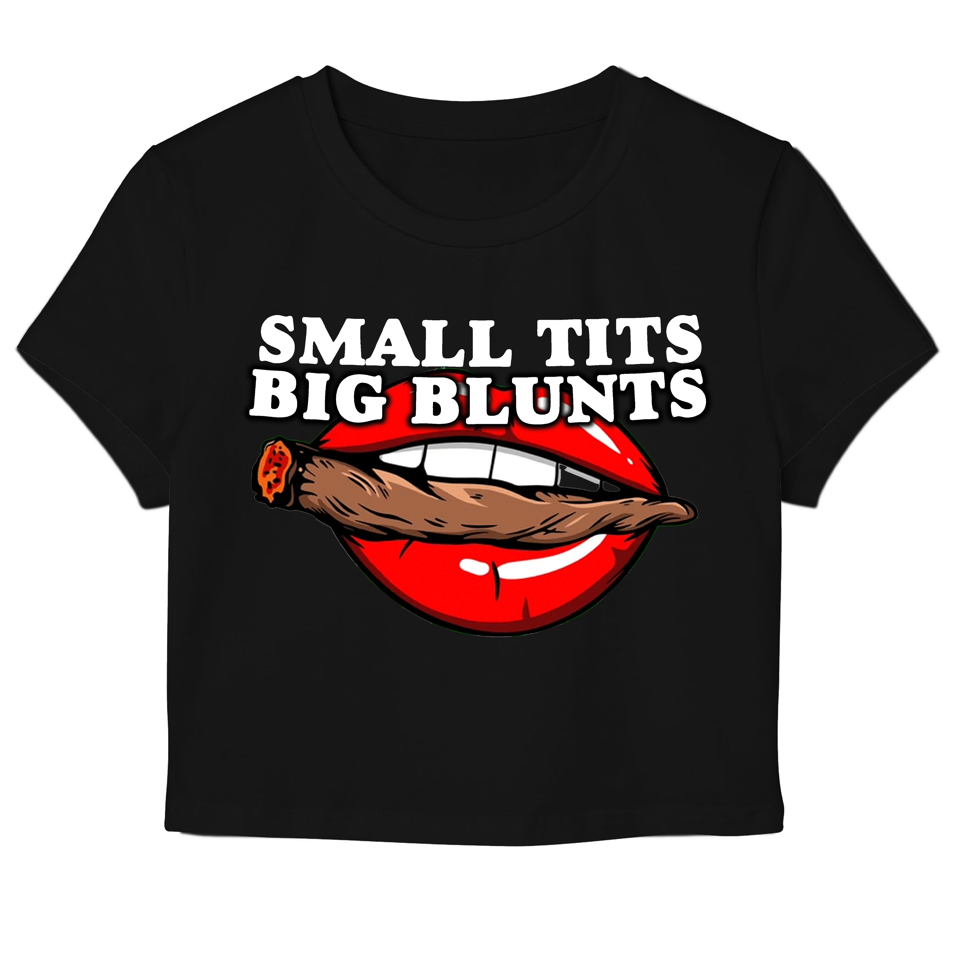 SMALL TITS BIG BLUNTS BABY TEE